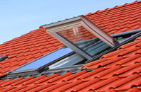 Picton roof window