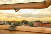 rated Picton roof window companies
